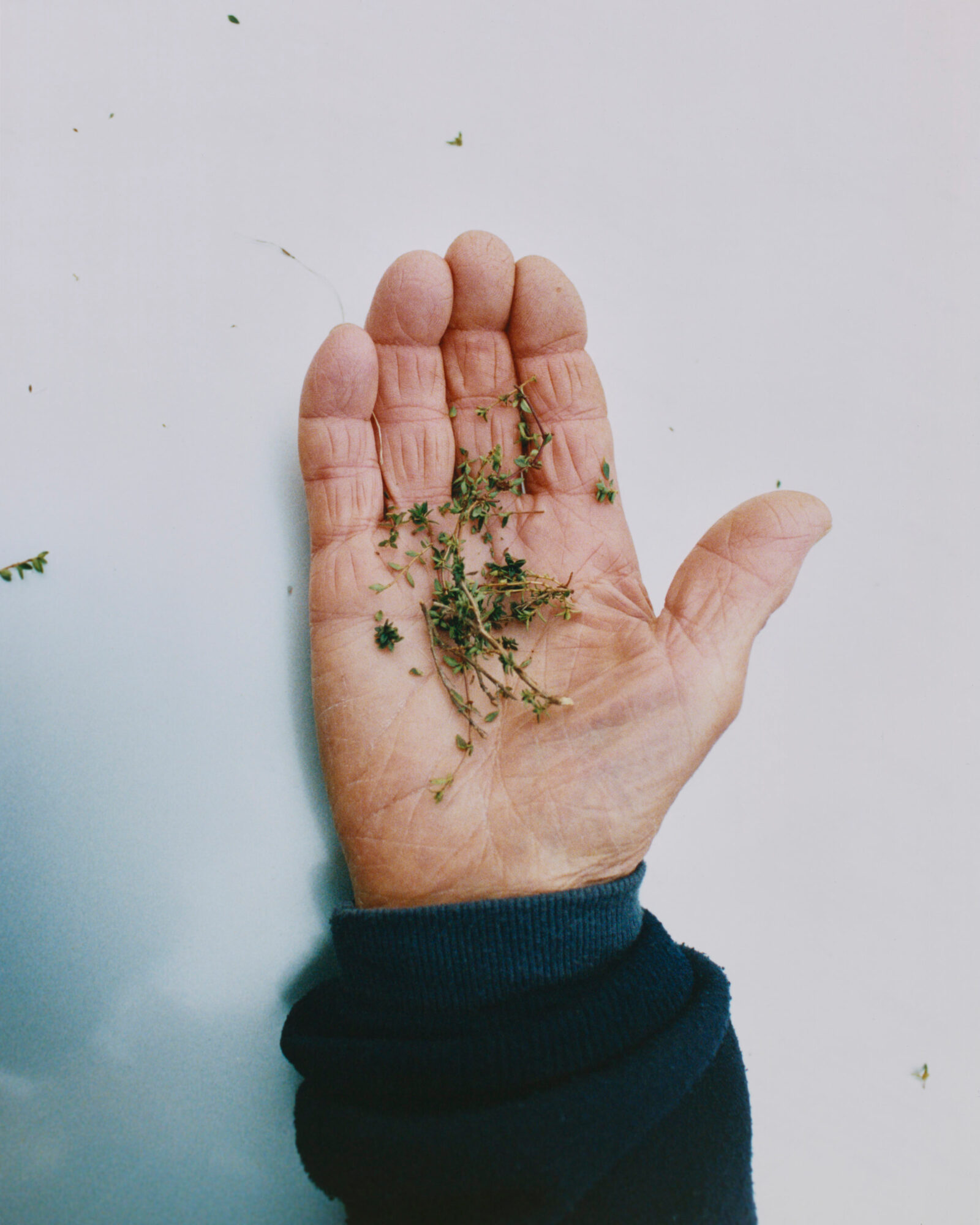 Towards New Food Futures